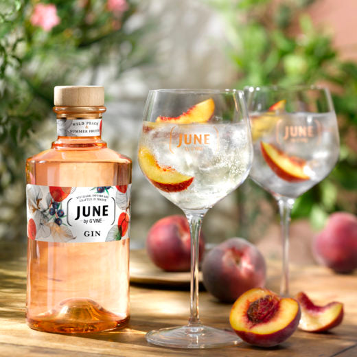 Gins